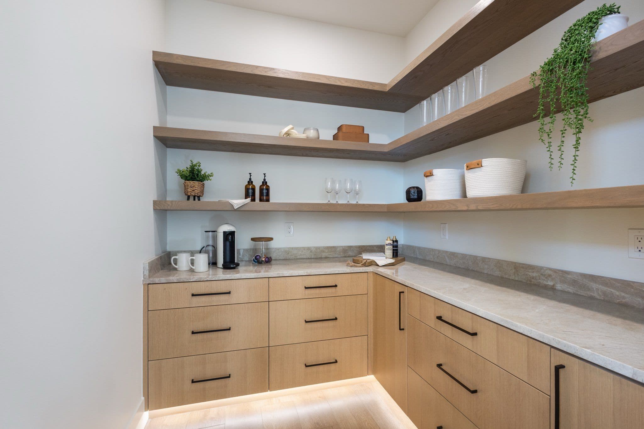 Project Elegant Kitchen Pantry with LED Lighting image